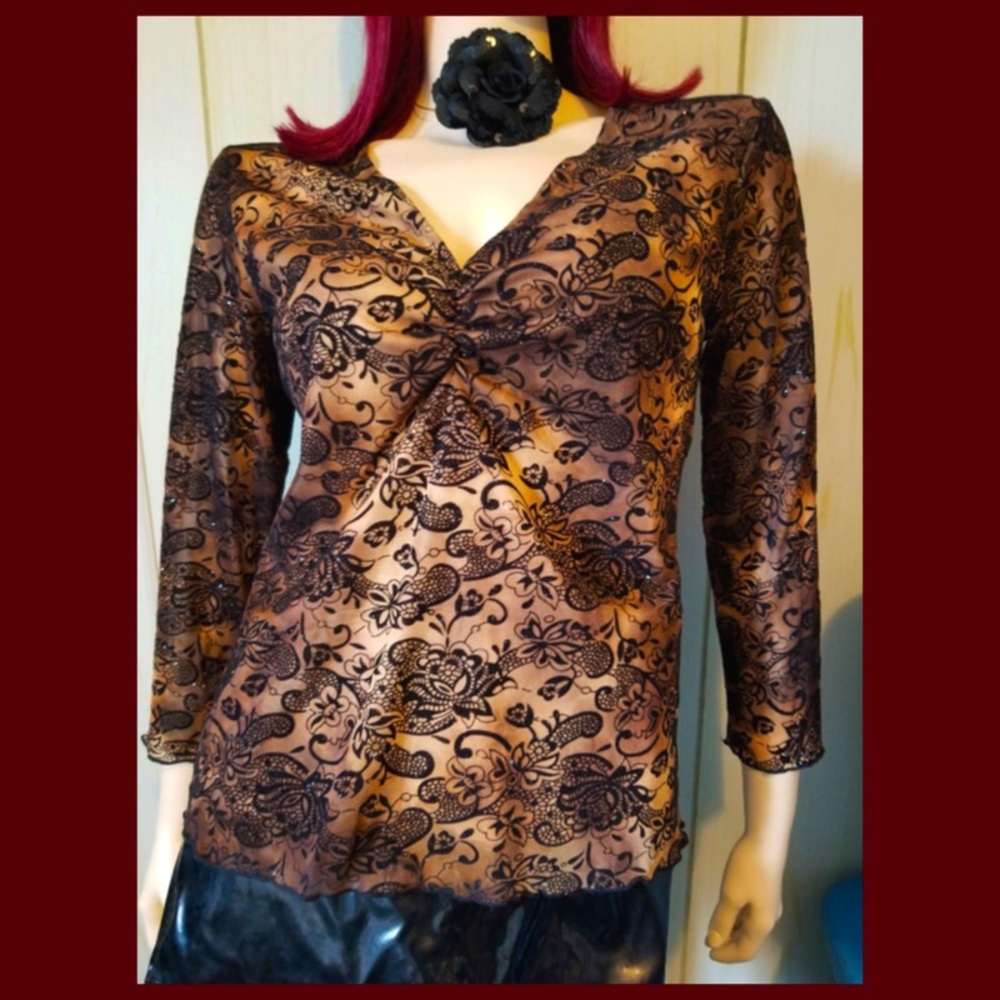 Vintage Shimmery Black Burnout Velvet Illusion Lace Whimsygoth Party Top